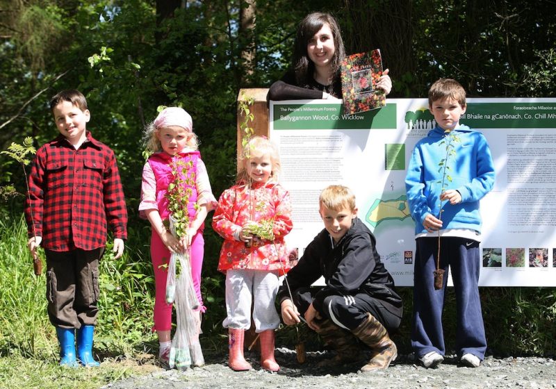 The Millennium Forests  Celebrating 10 Years  22nd May 2011: Guided walks took place today in a number of People's Millennium Forests country-wide to celebrate a decade of progress in the People's Millennium Forests Project. To coincide with the celebration of the Millennium in 2000, sixteen woodlands around Ireland, comprising fifteen hundred acres, were chosen as the People's Millennium Forests. 1.3  million young trees of native species were planted on the forest sites that were dedicated in perpetuity to the people of Ireland. The saplings that were planted in 2000 have now begun to enter the next stage of their development creating young, vibrant, native woodlands rich in both plant and animal life. The celebration of these forests today is timely given that is International Day for Biological Diversity.  Photo Chris Bellew / Fennells